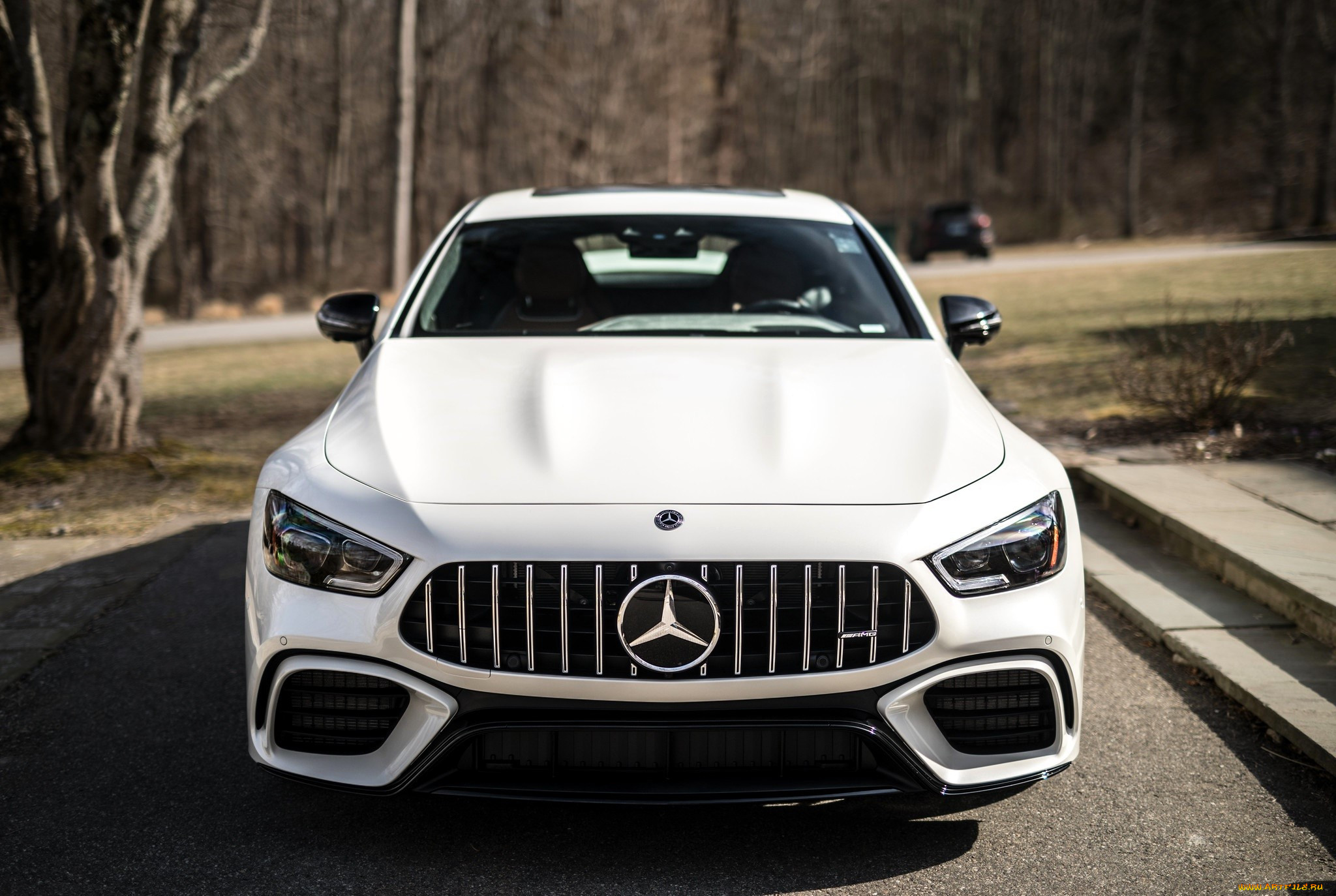 mercedes-amg gt, , mercedes-benz, , , 